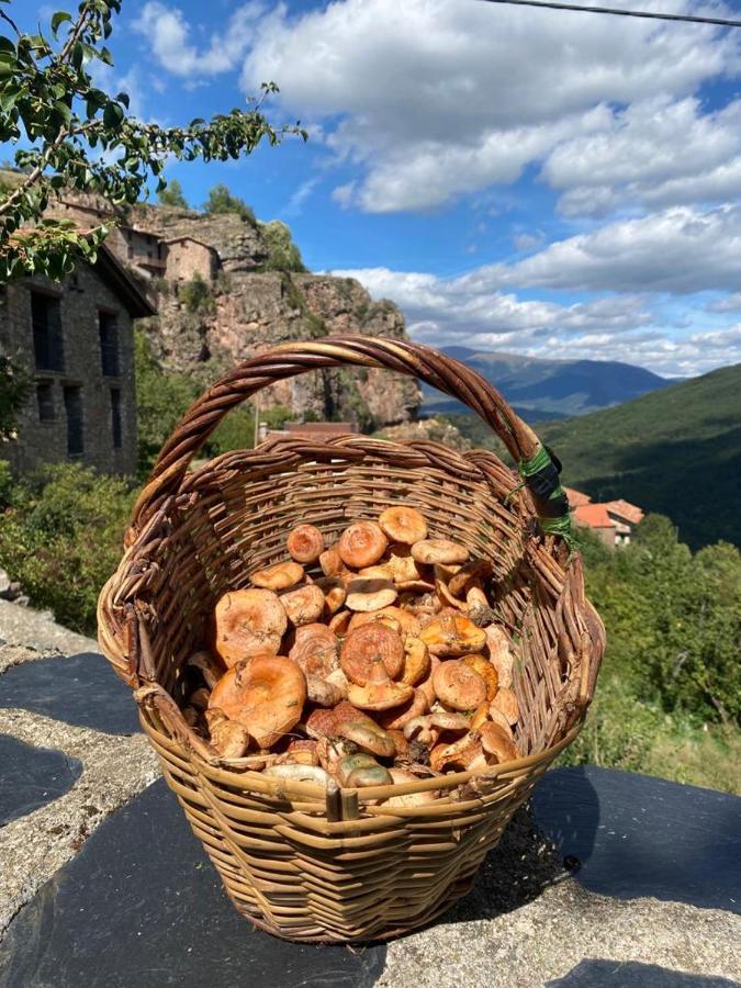 Cal Ferrer Habitatge Rural Villa Cava Buitenkant foto