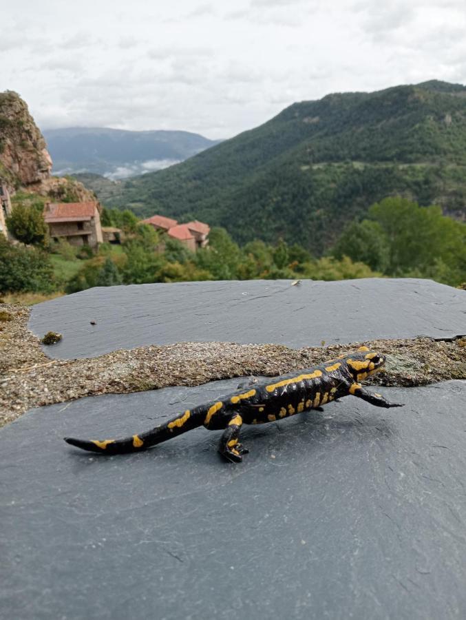 Cal Ferrer Habitatge Rural Villa Cava Buitenkant foto